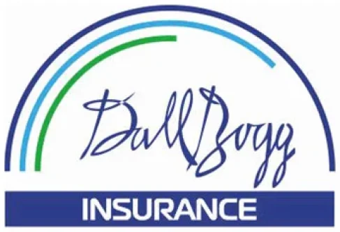 DallBogg Insurance